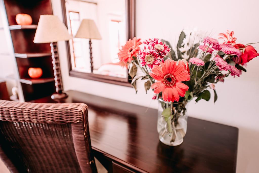 La Vista Lodge Plettenberg Bay Dış mekan fotoğraf